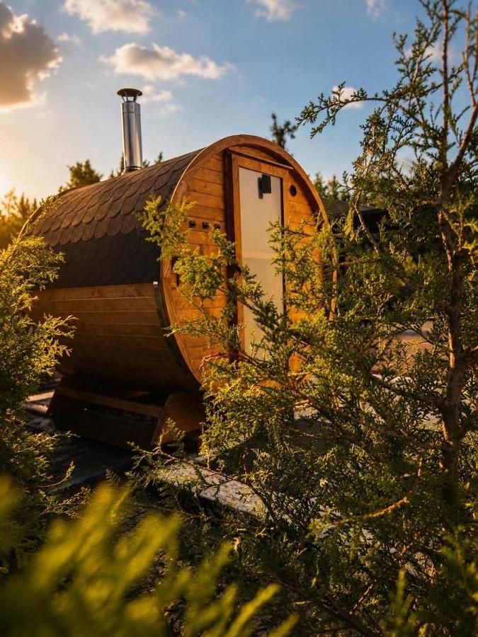 Sauna-beczka wśród zieleni w świetle zachodzącego słońca